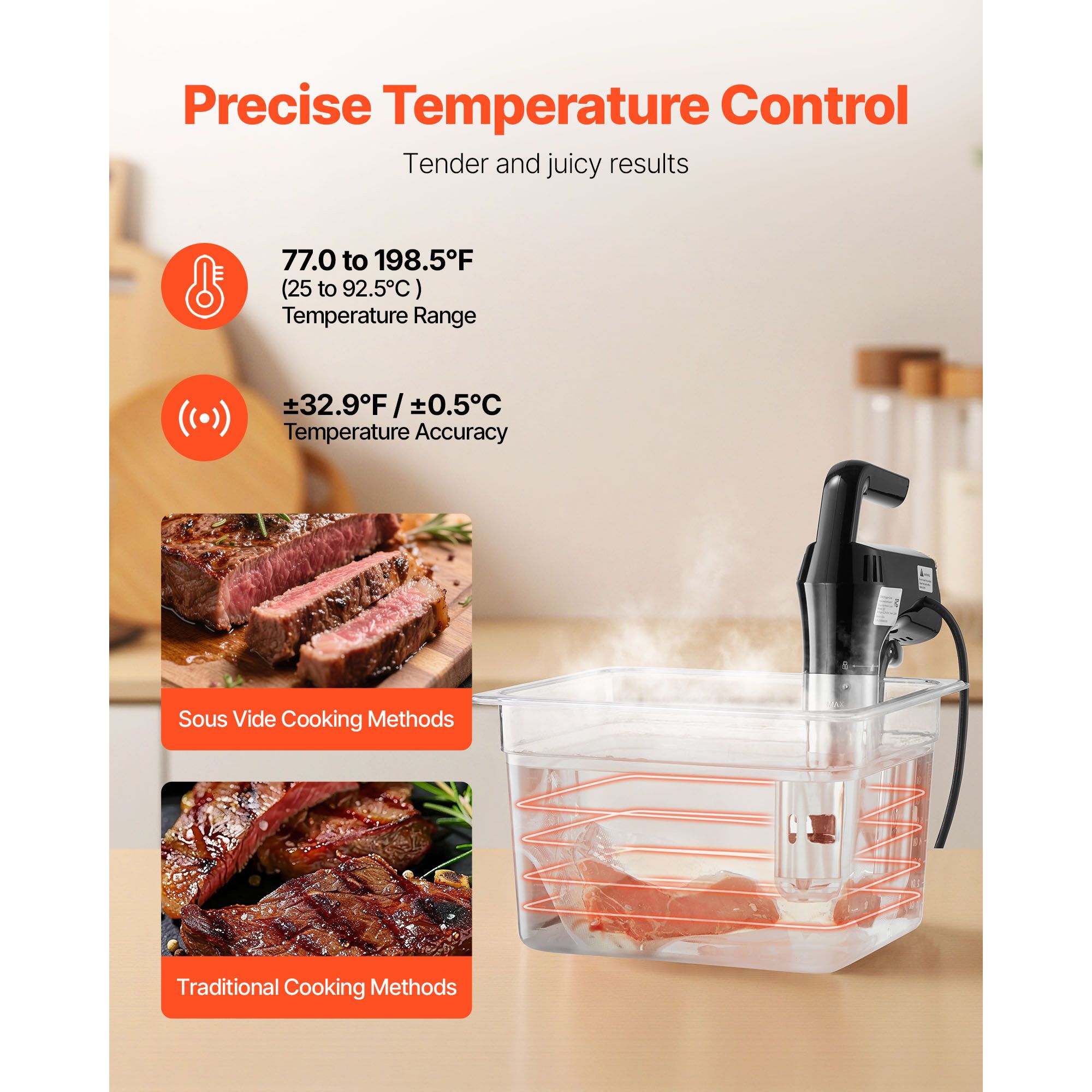 Sous Vide Precision Cooker, 11 - Digital Sous Vide Precision Cooker ulasan dan harga